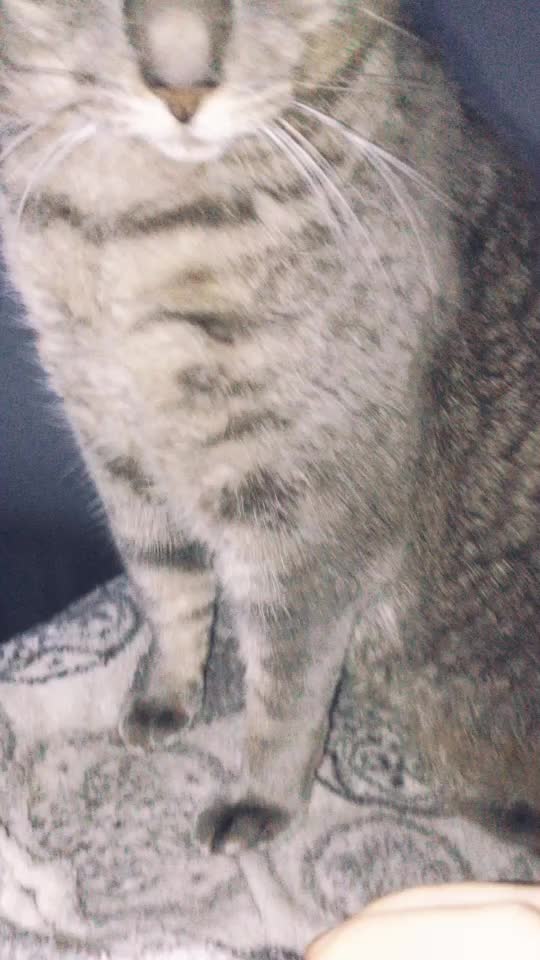 @_ᕼI_ᕼI_