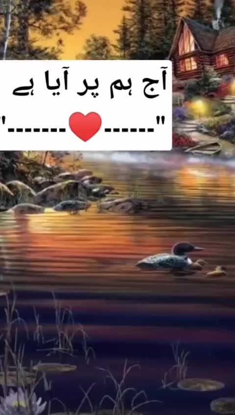 @sairakhan992