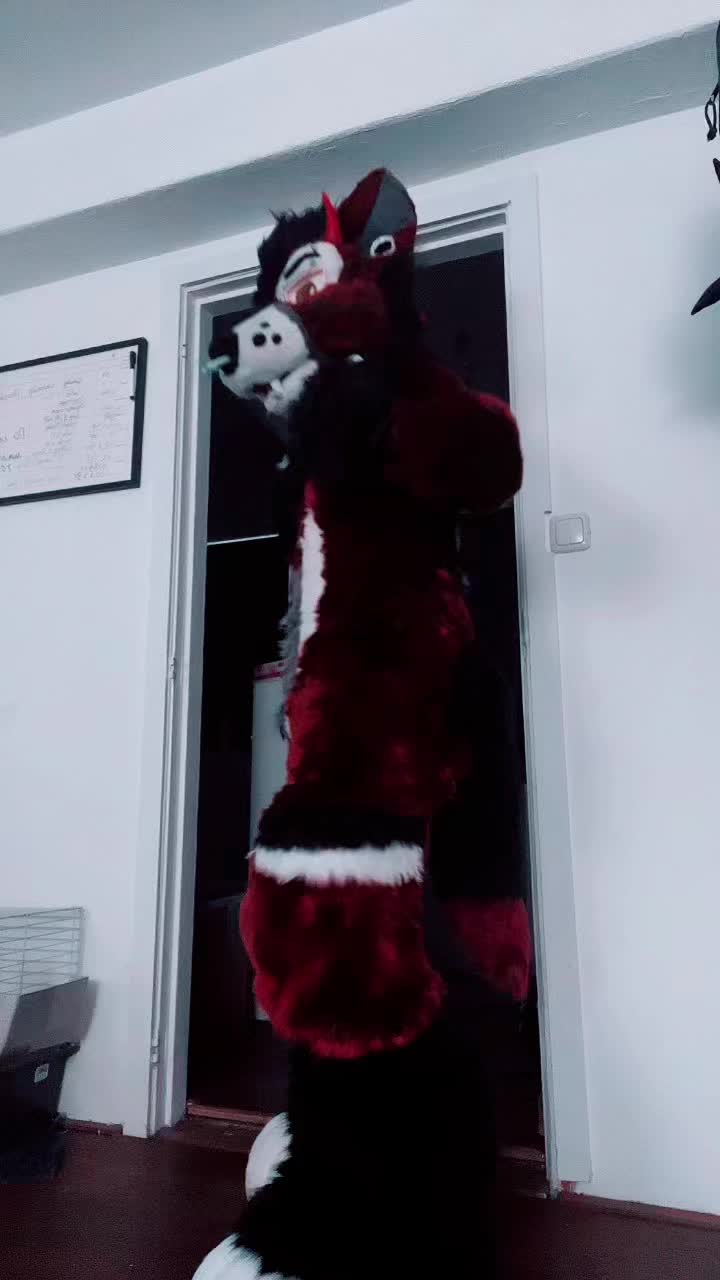 @A̶𝑁𝑈𝐵𝐼𝑆.̶ᠻꪊɀɀꫀᖇ