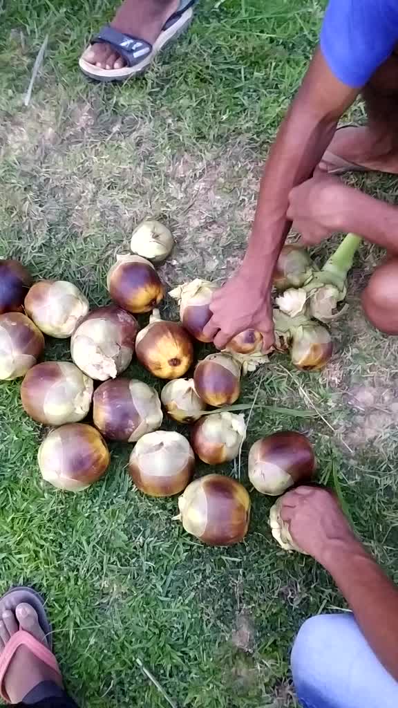 @Purna chande baik