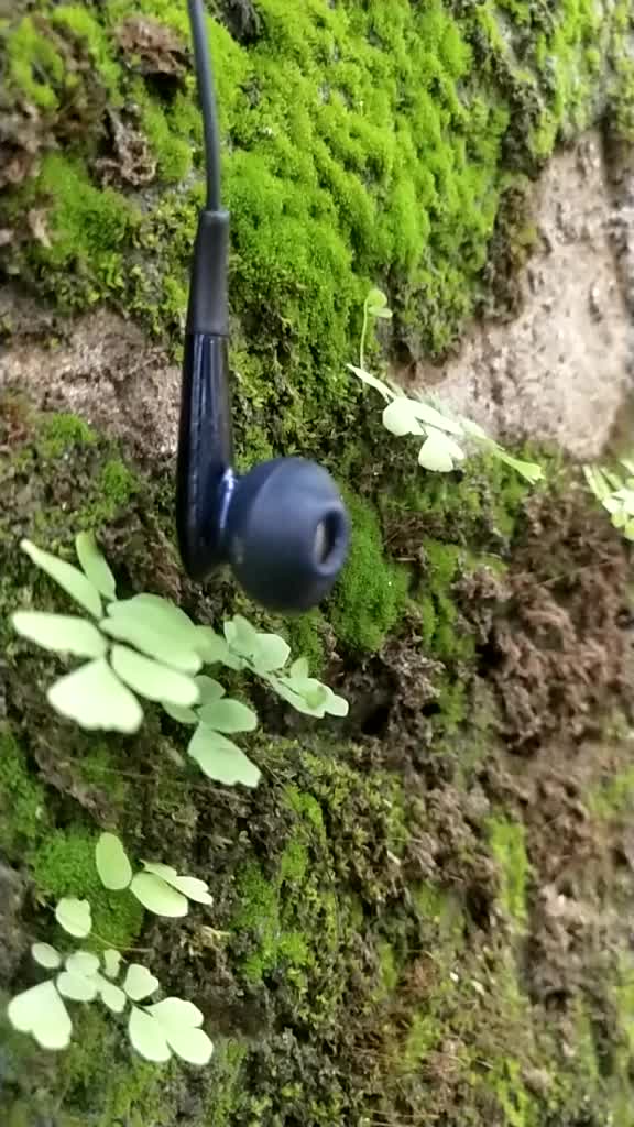 @Anoopanu