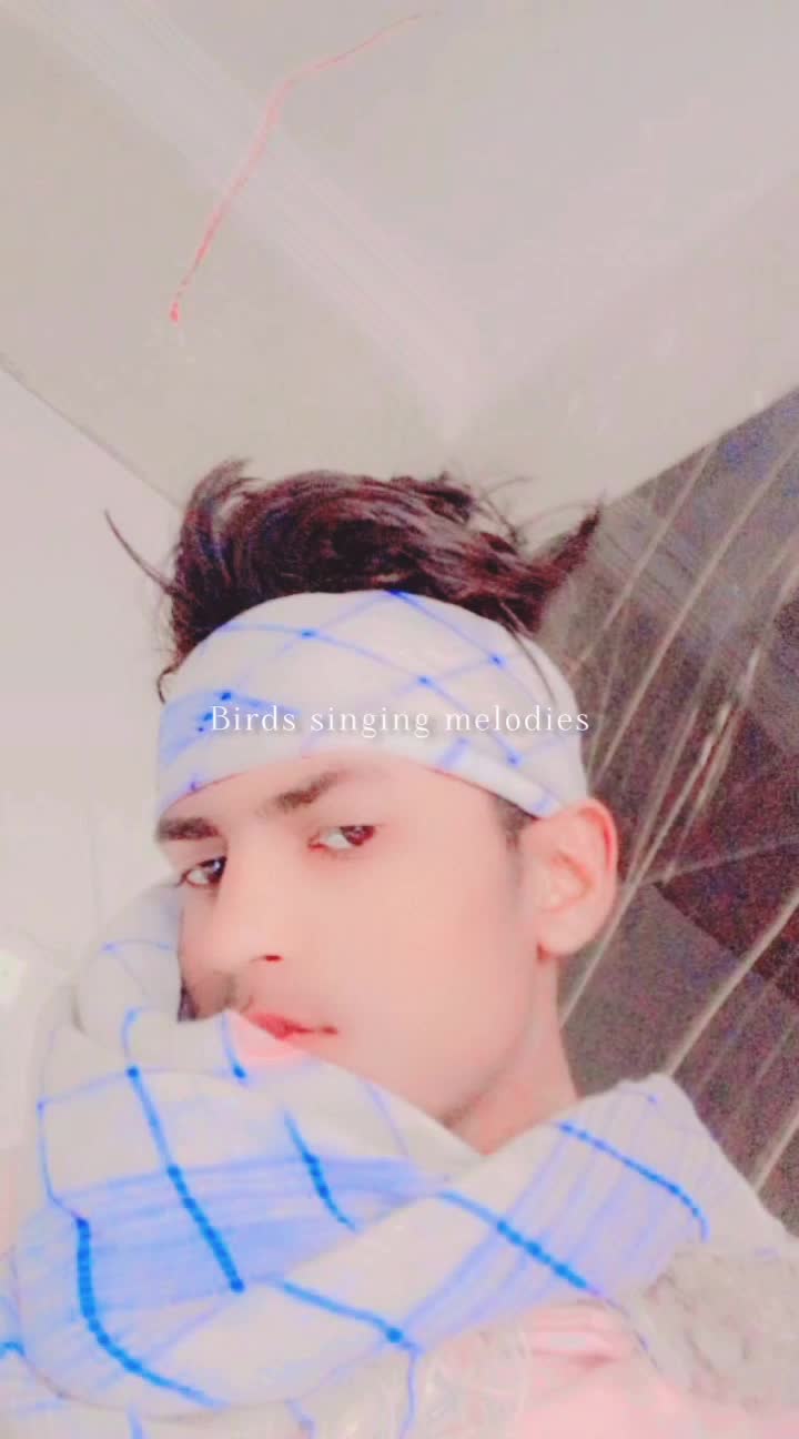 @sahabzsahabz622
