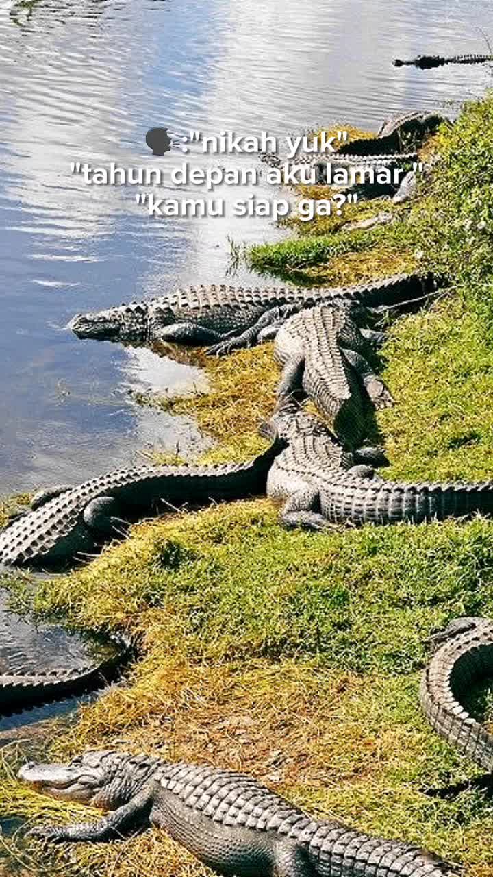 @bismillahtrssssss