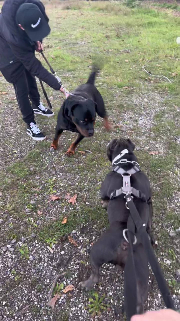 @Iam_ Denver The Bully