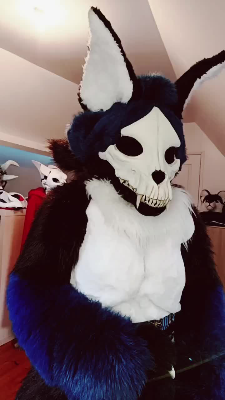 @KITJUNE