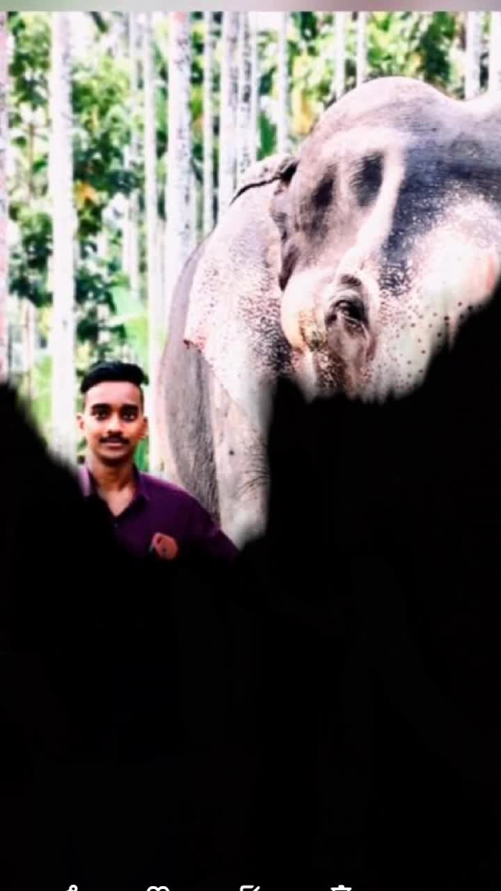 @user00553756299