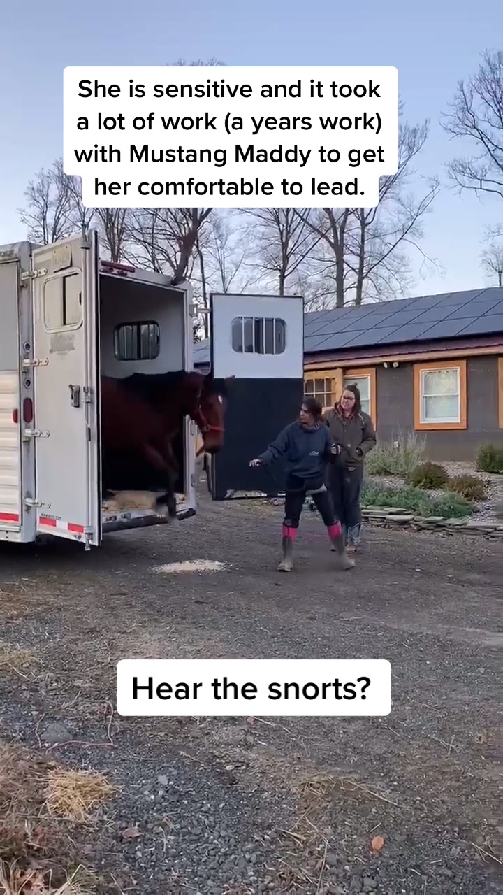 @thismustanglife