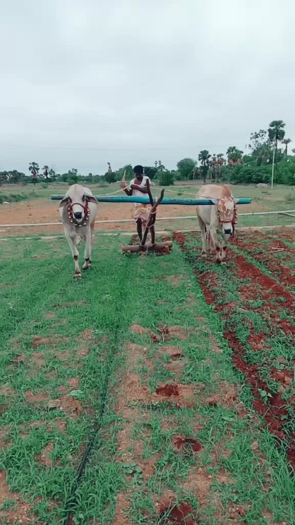 @E.Jagan.goud