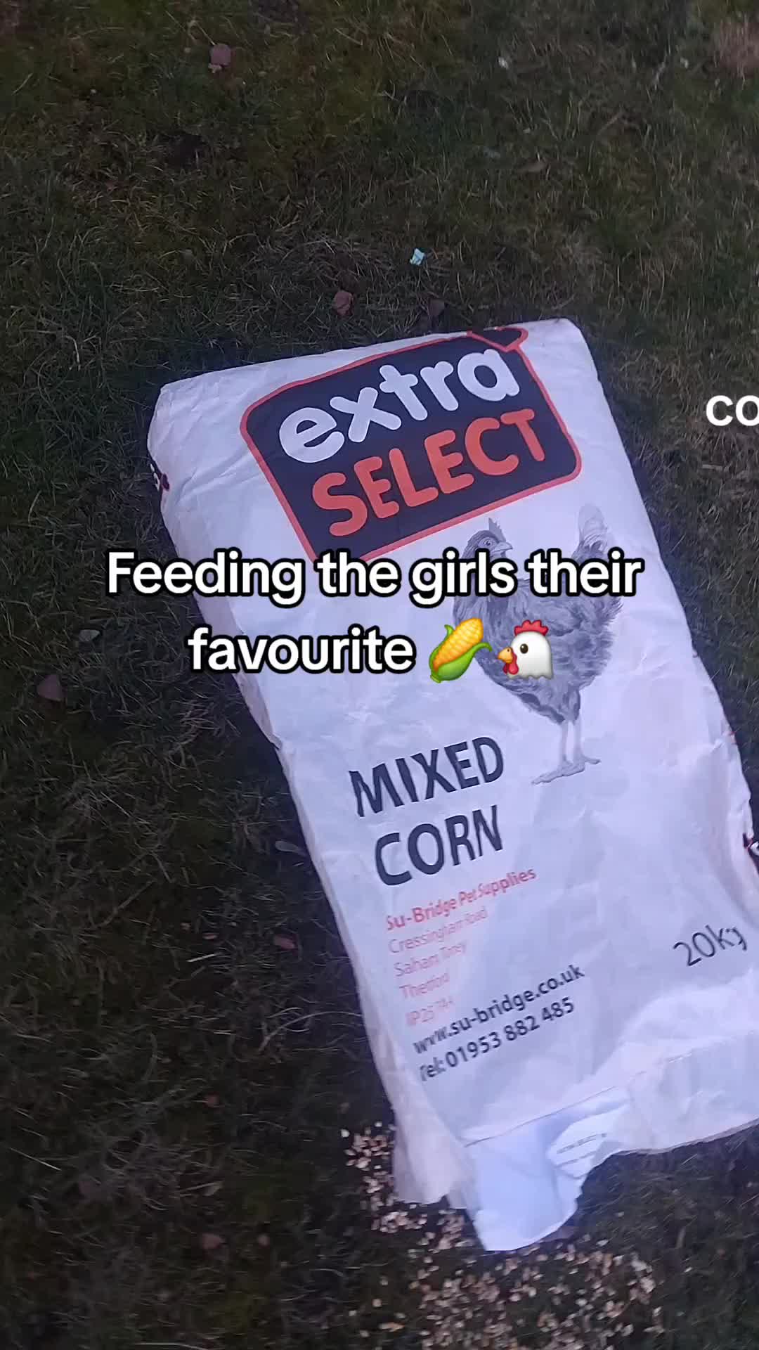 @Pawfectlypicked