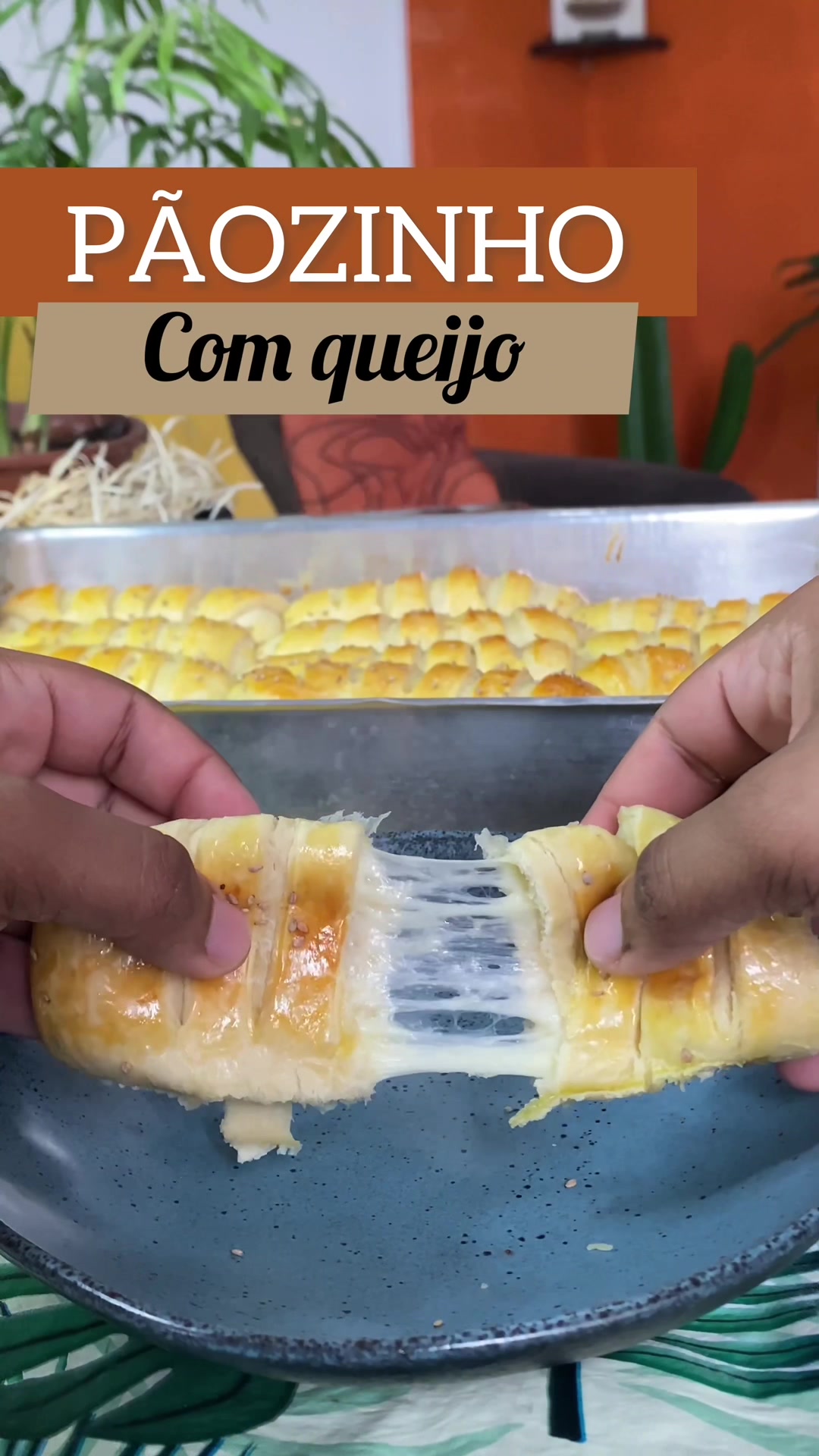 @oeltinhosantos
