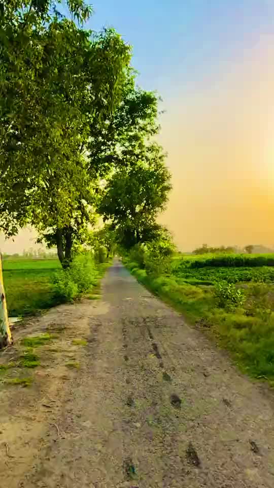 @Sukhchain Bains