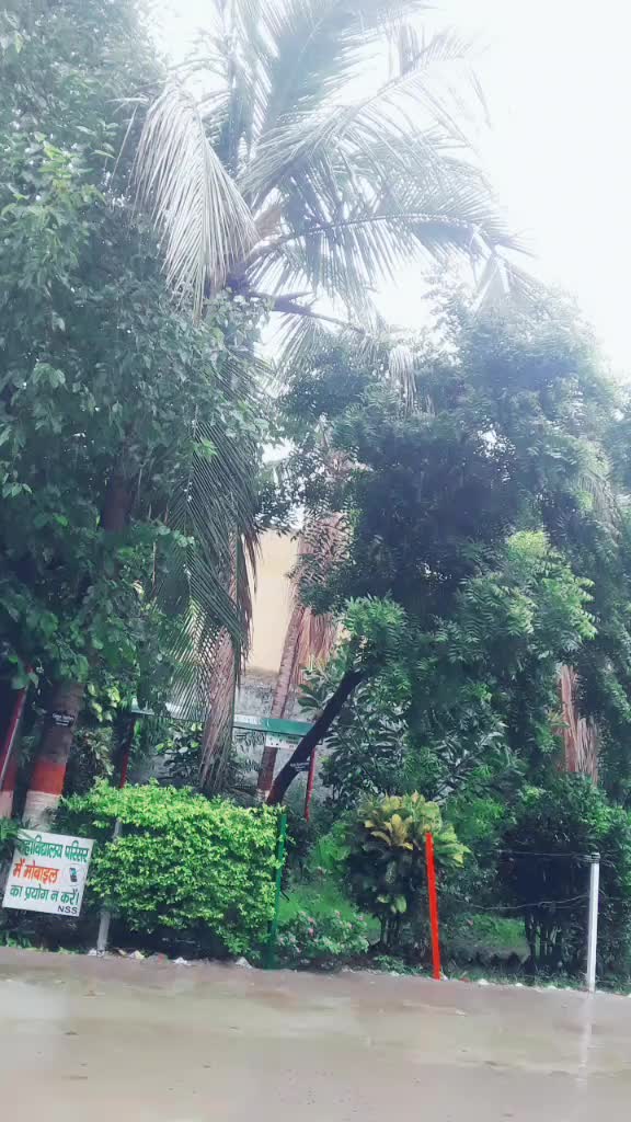 @04 aliyakhan04