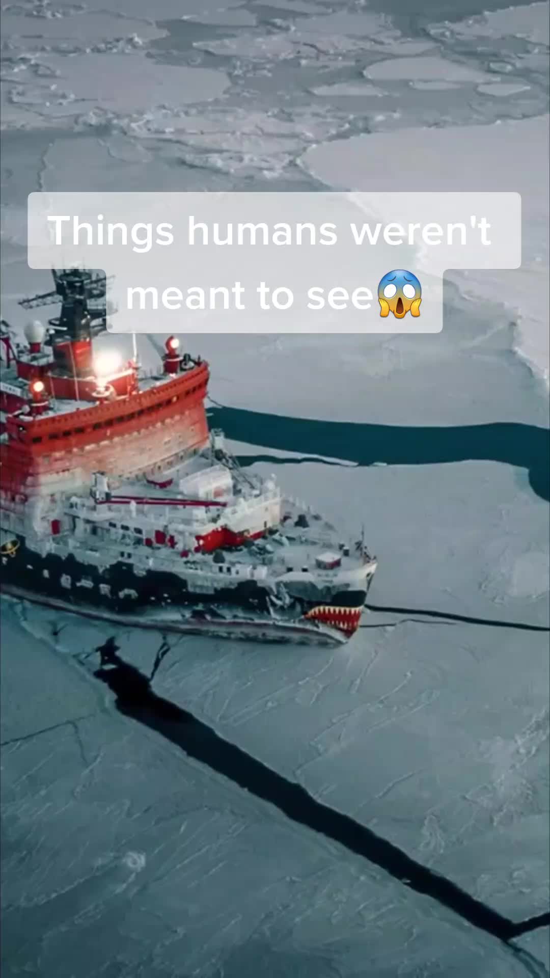 @LovingNature