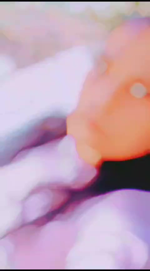 @🍀💧🌿❤️හිතුවක්කාර 🍀🫒💞💧