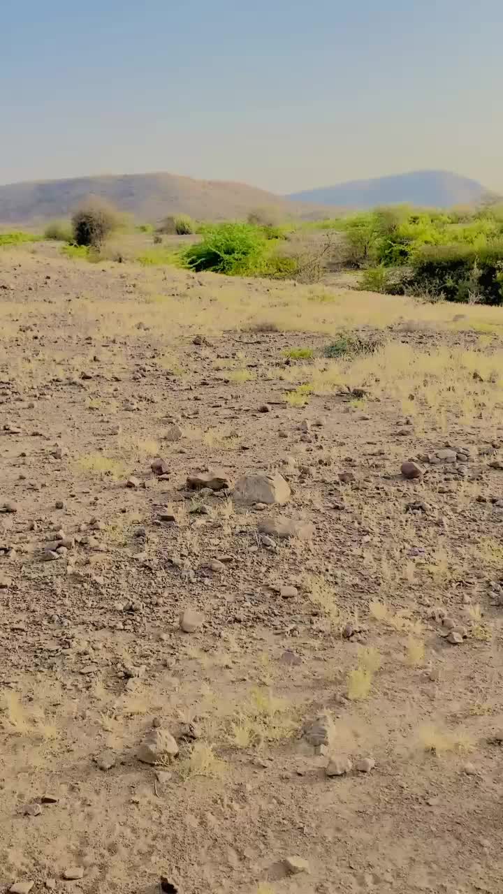 @Abid Ali Sumalani zb