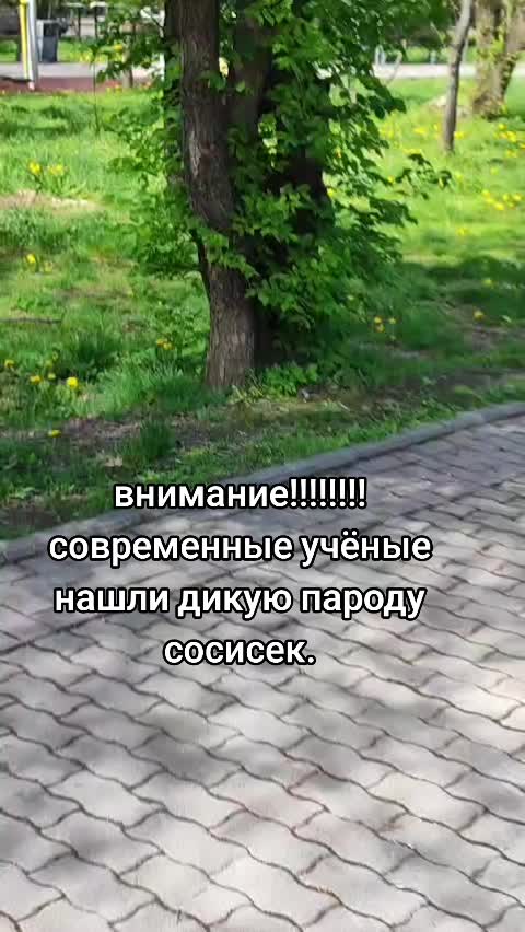 @Художник Gleb_130