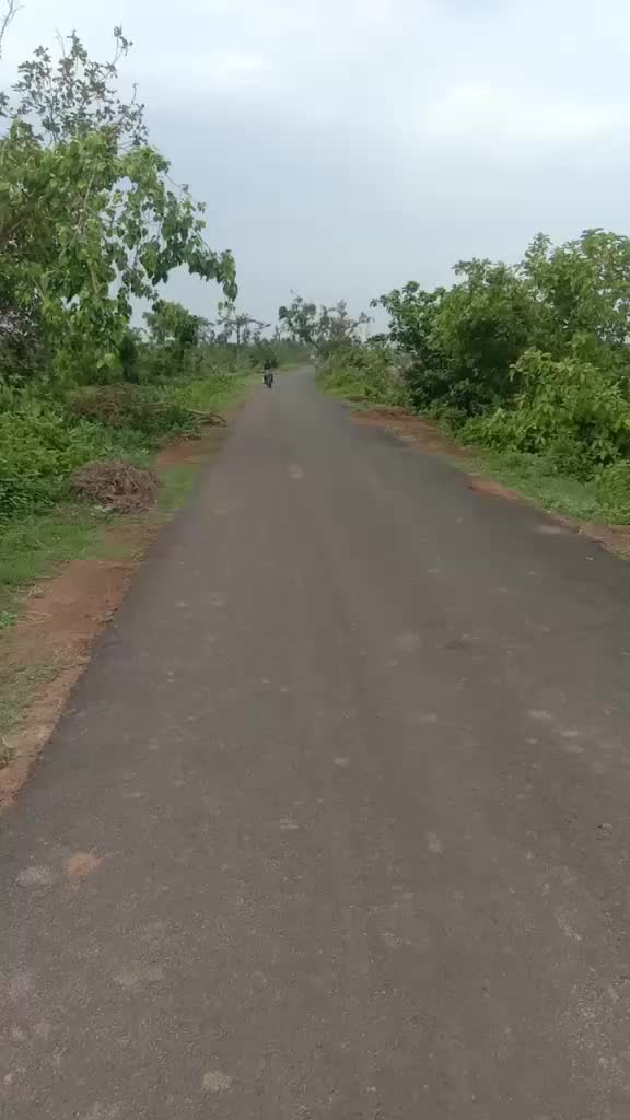 @Rinku Nayak