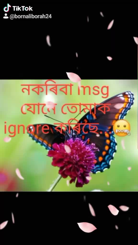 @bornali borah
