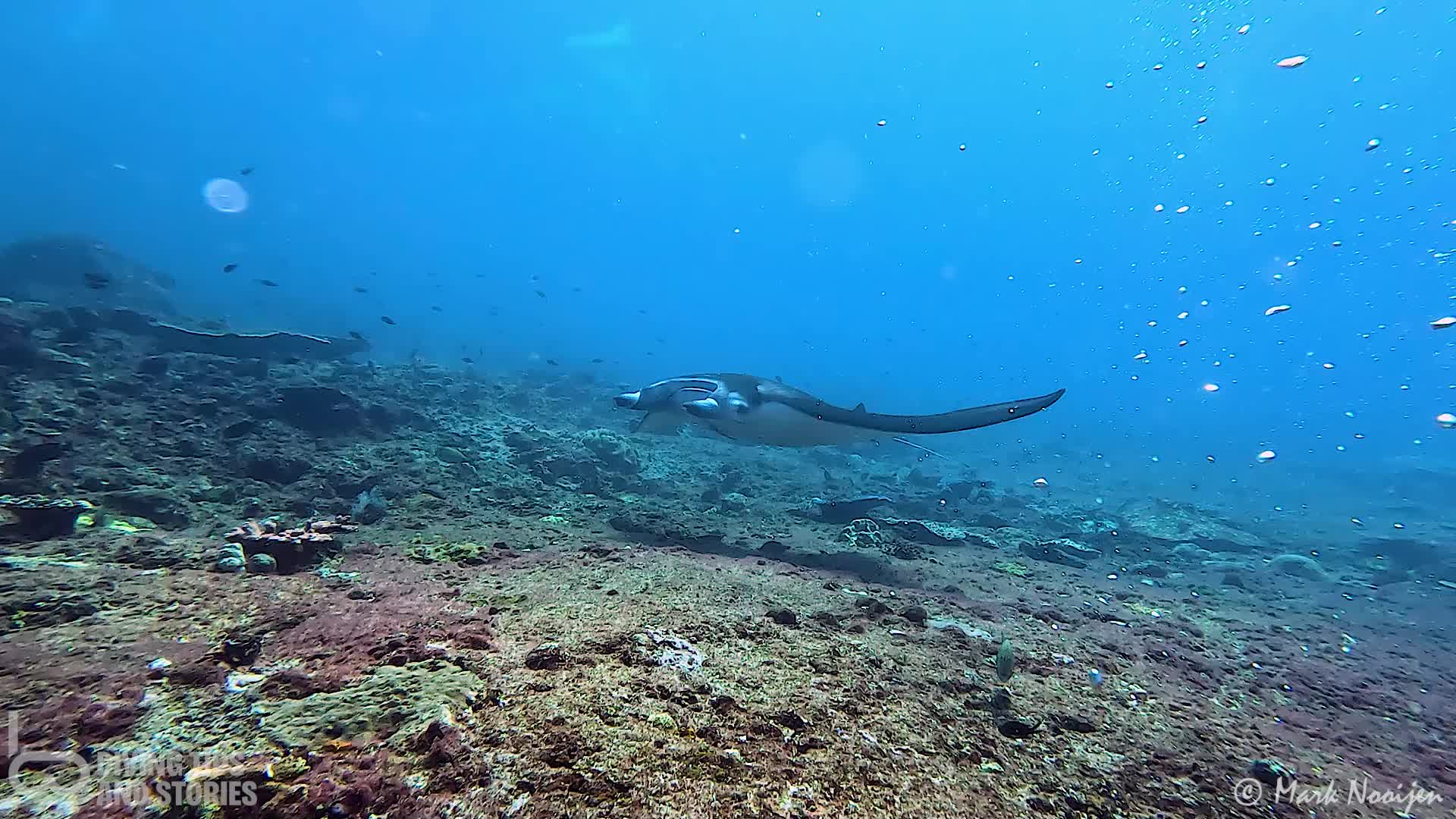 @Diving Tips and Stories