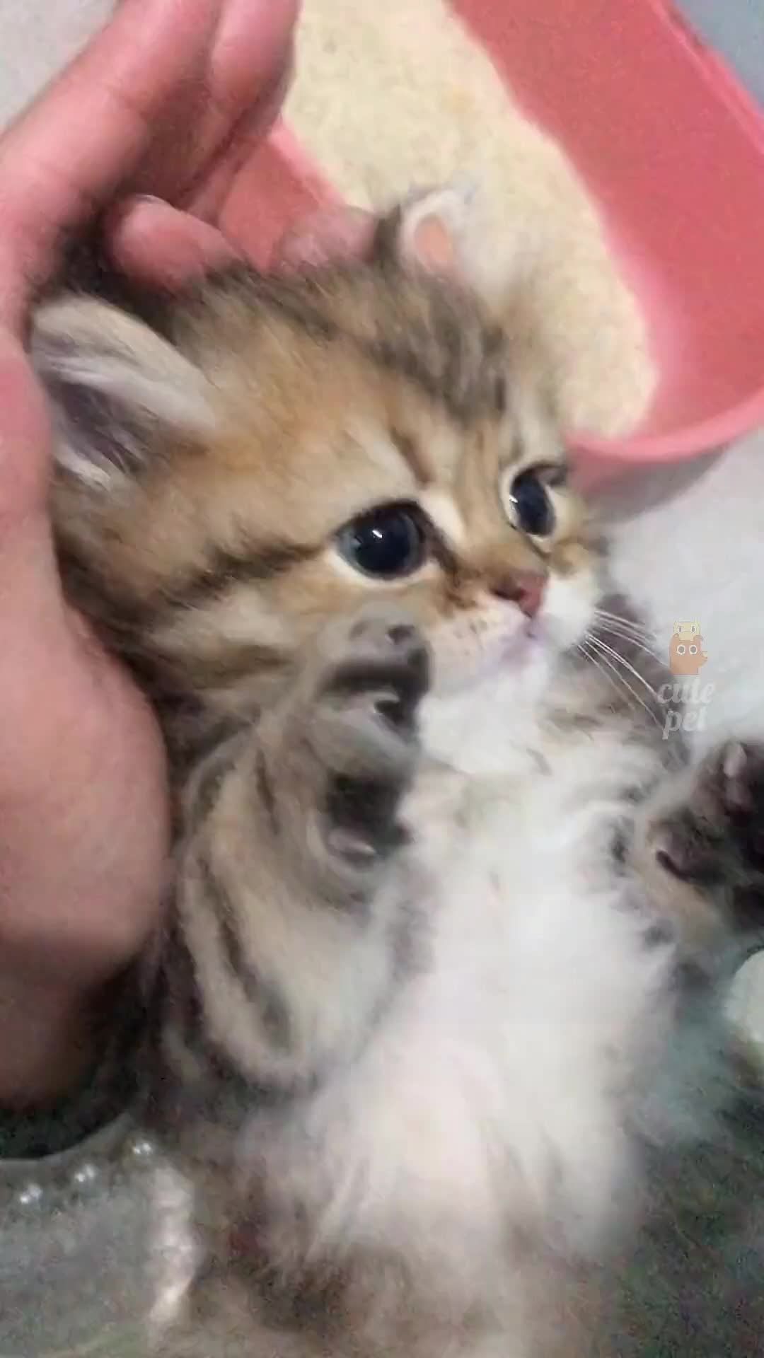 @dfhdhhd22