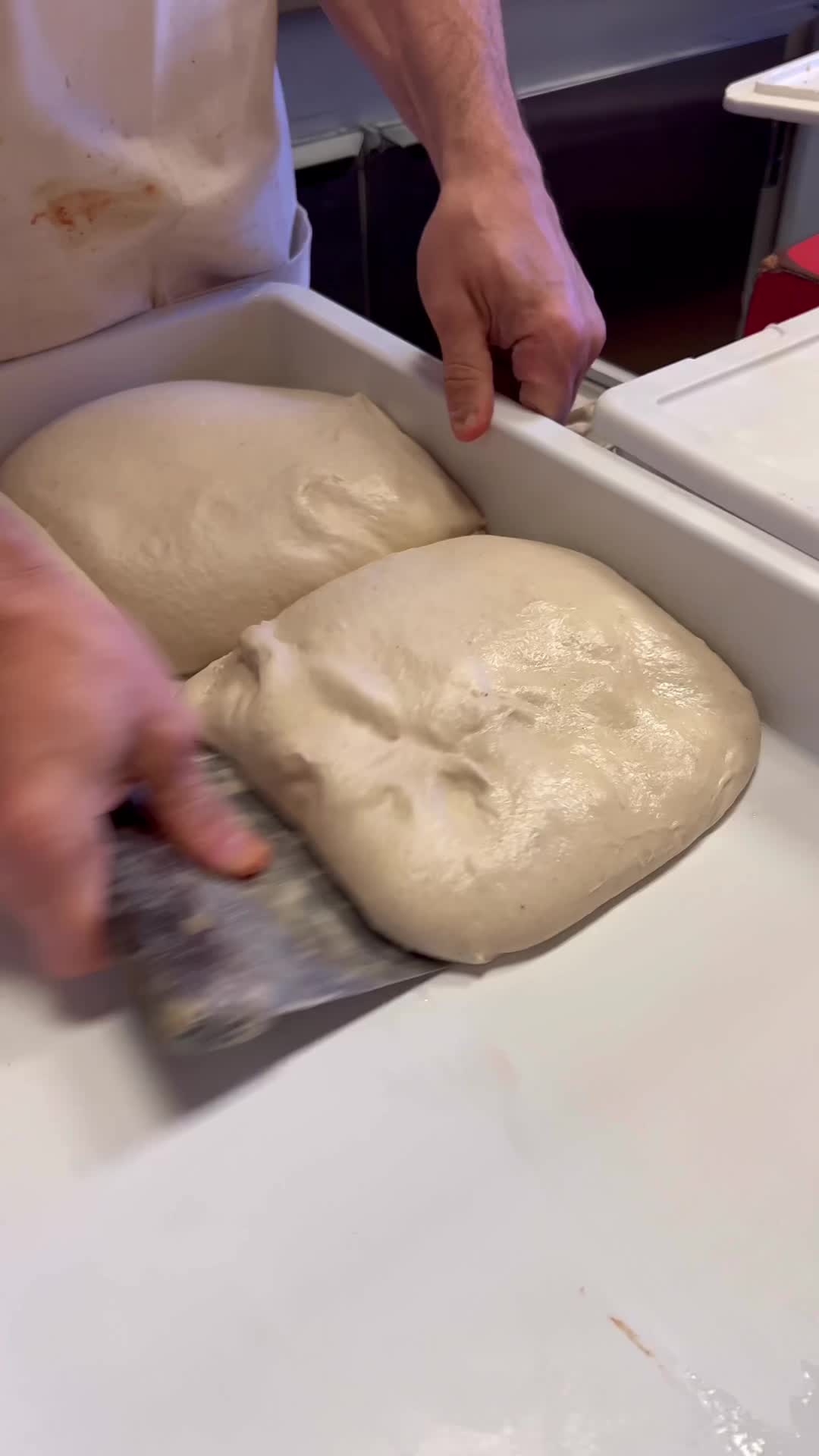 @luigispizzaparkslope