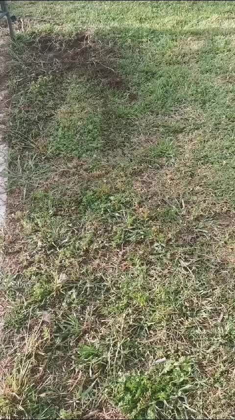 @Serena Di Lucia