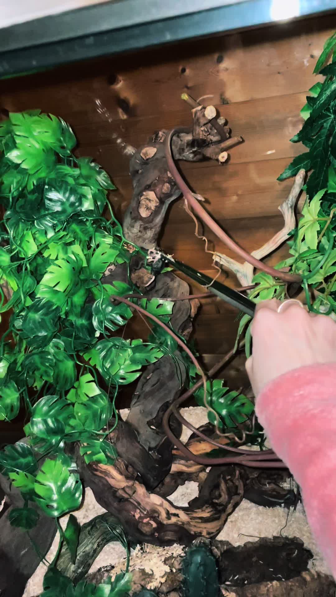 @C&N Reptiles & Co
