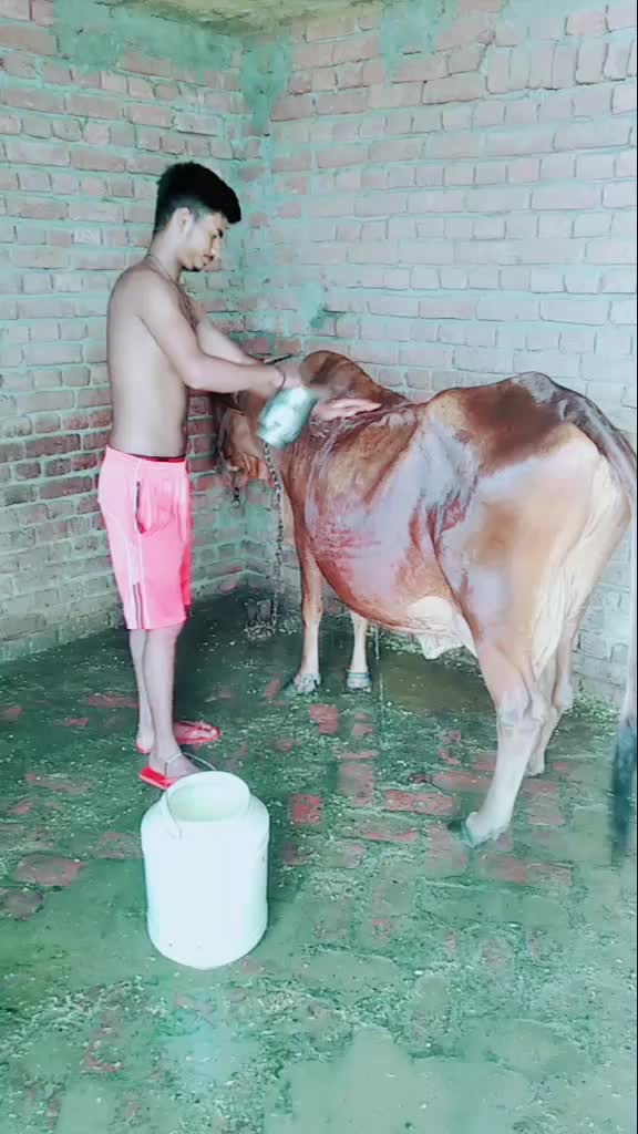@Manish Chaudhary
