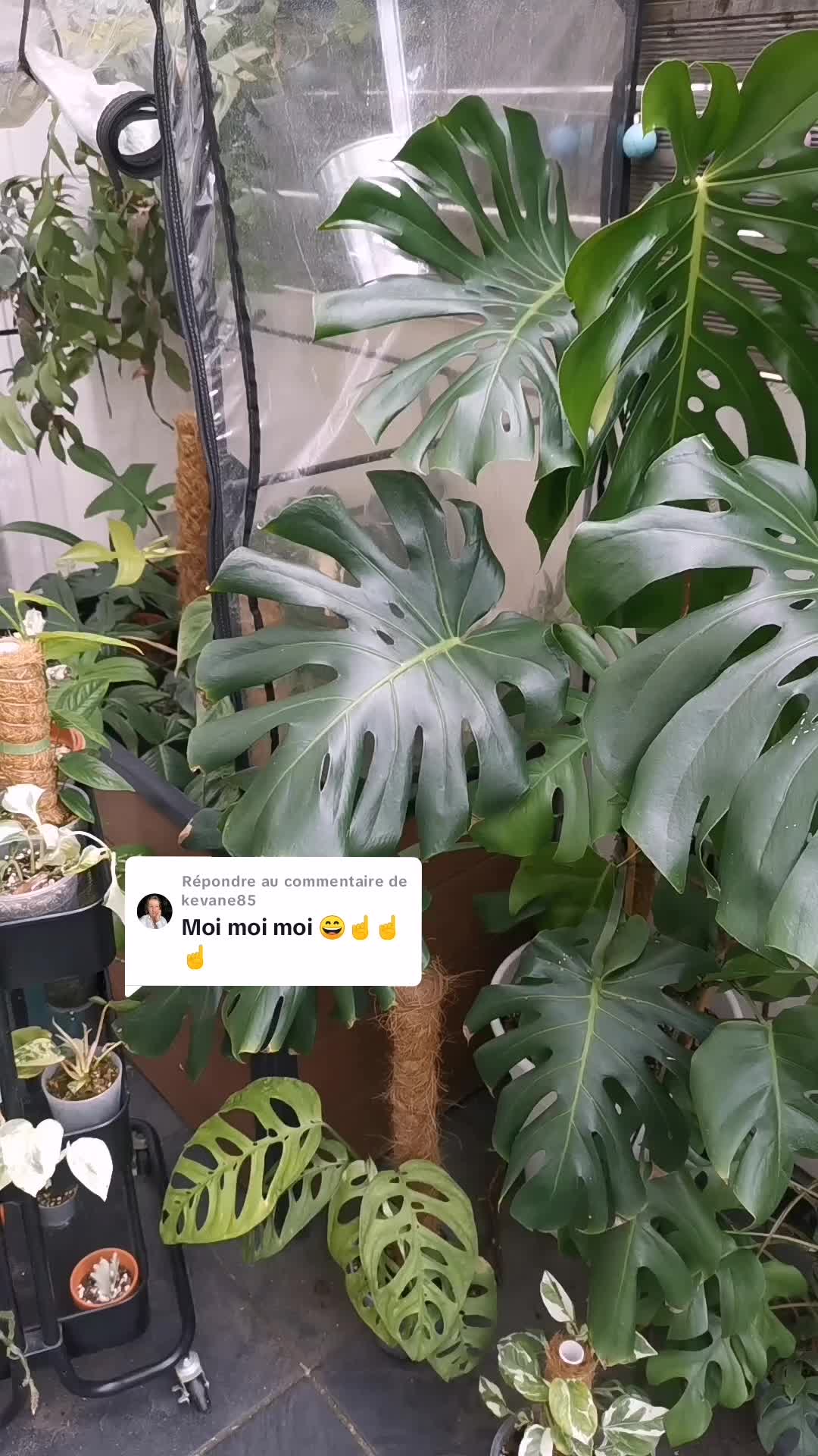 @Diana autour du monde