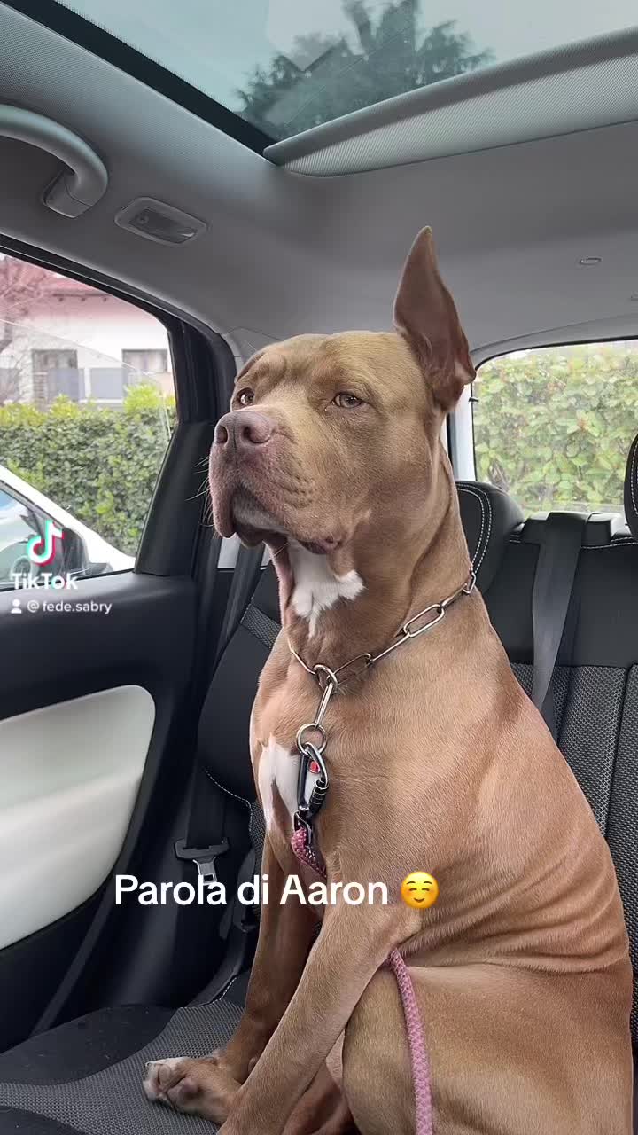 @Aaron