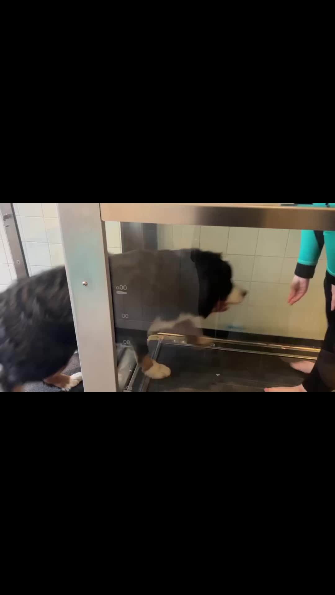 @GorgeousGeorge