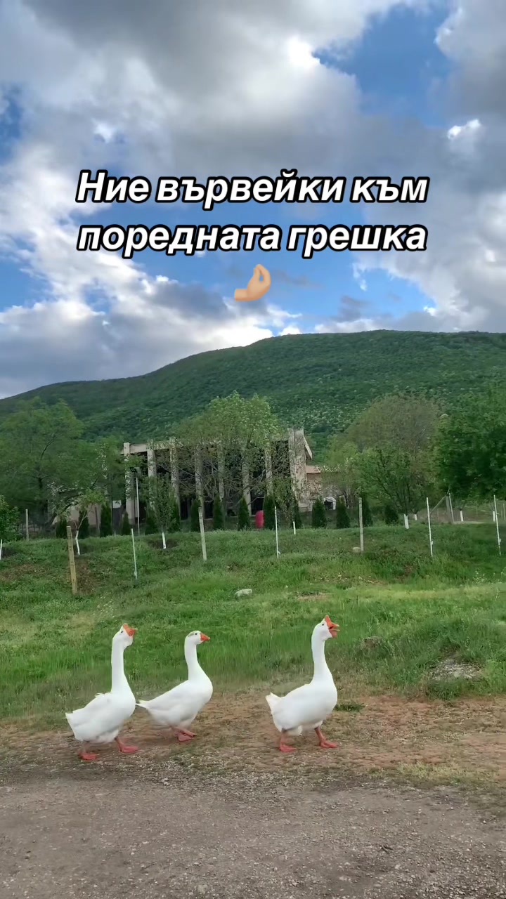 @𝐑