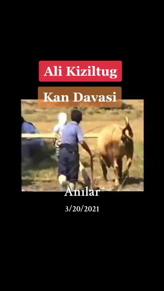 @Tozanli60