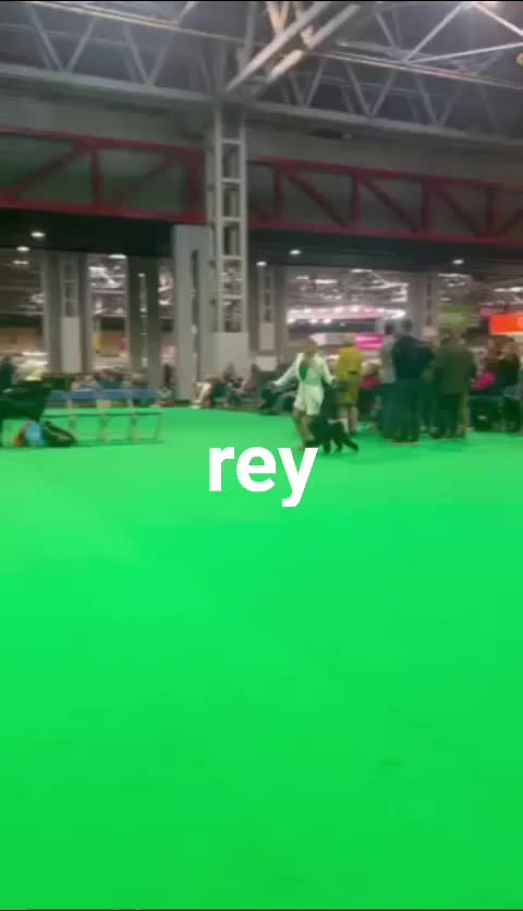 @nadia lasagni