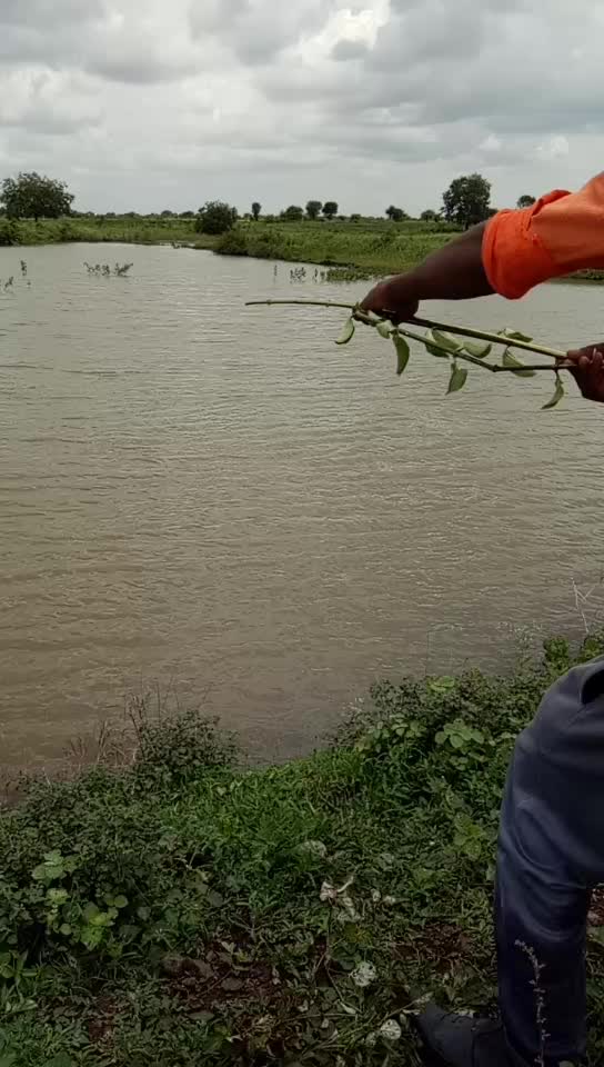 @कैलास काळे