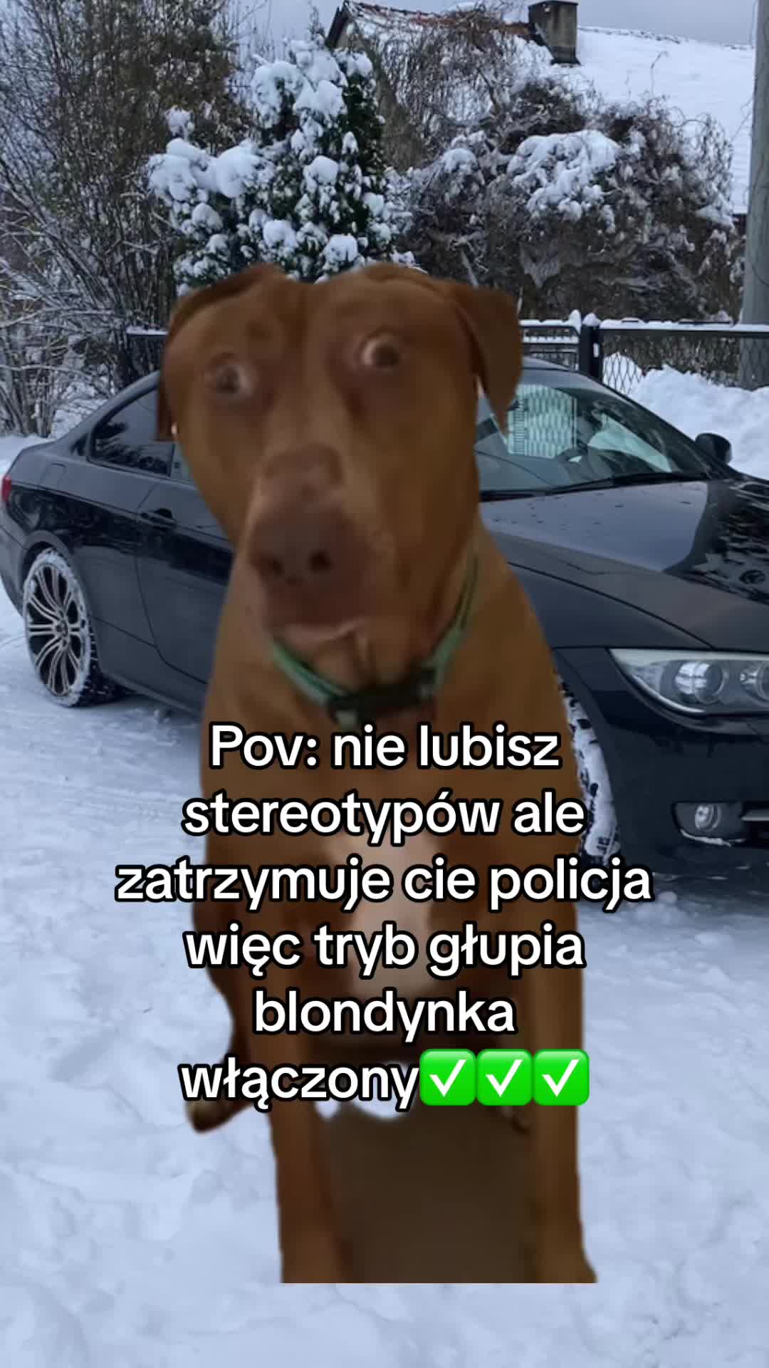 @Kiona