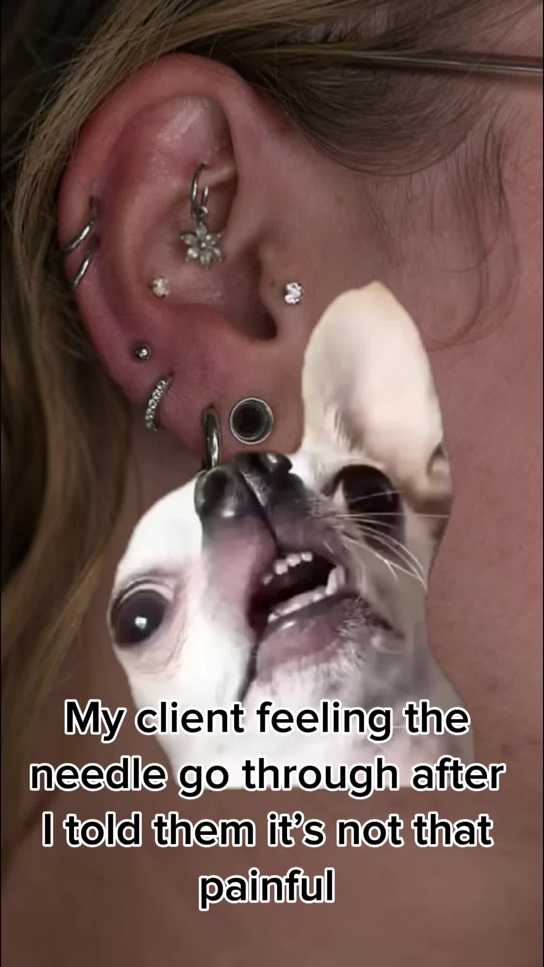 @Brogan piercings