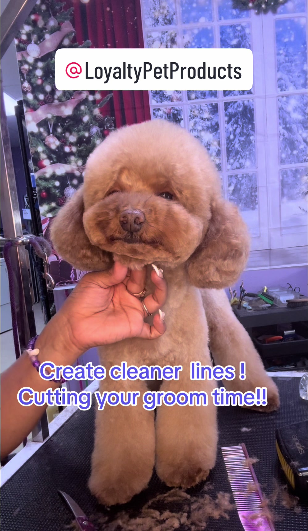 @fusionpetstylez