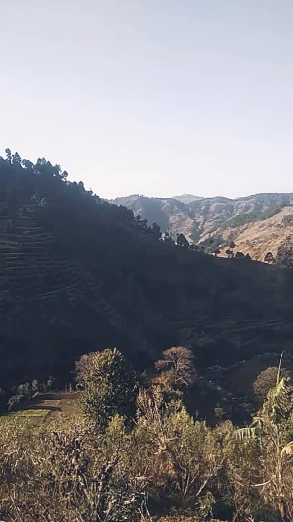 @pahadi bula