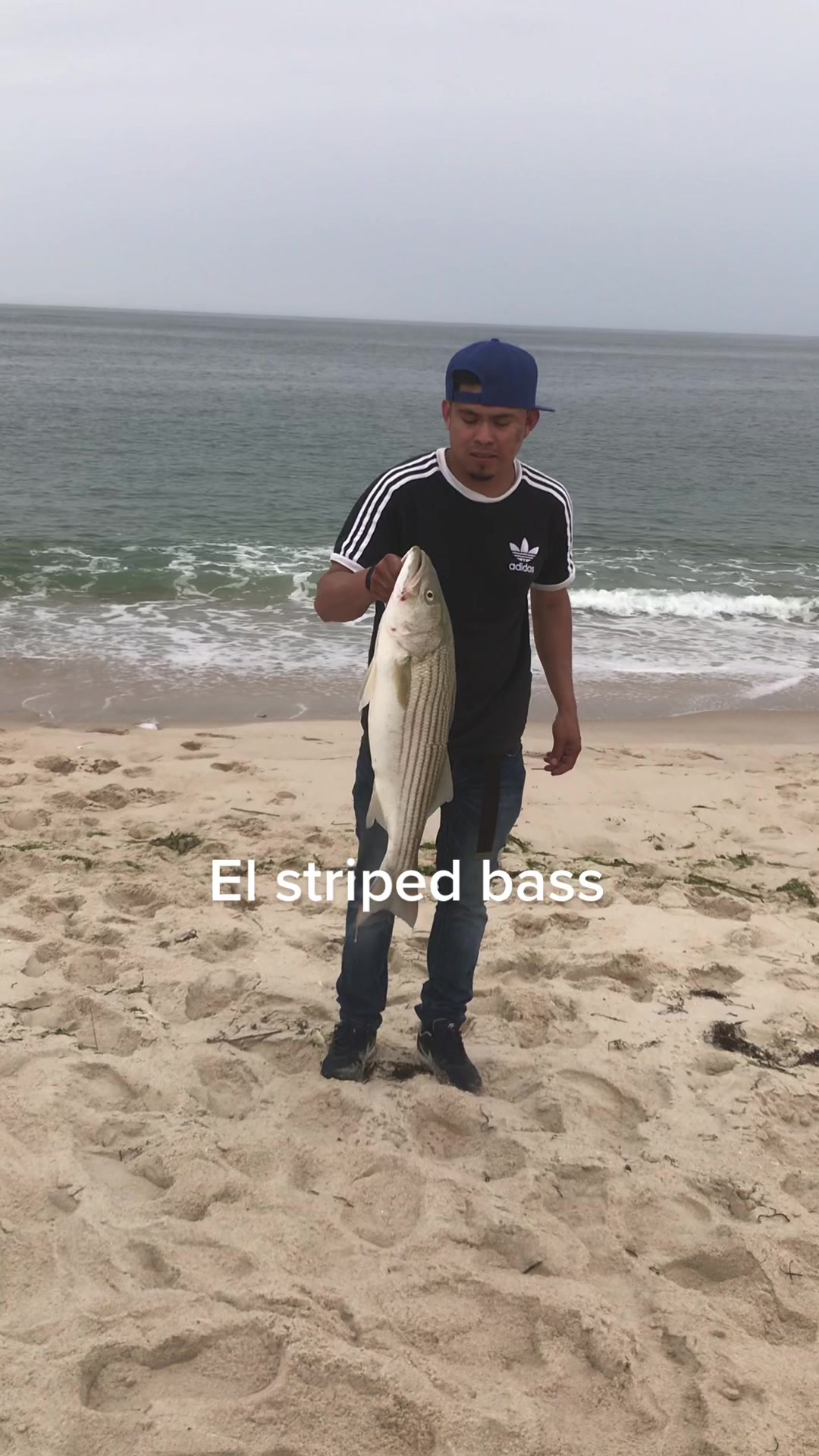 @Molina017