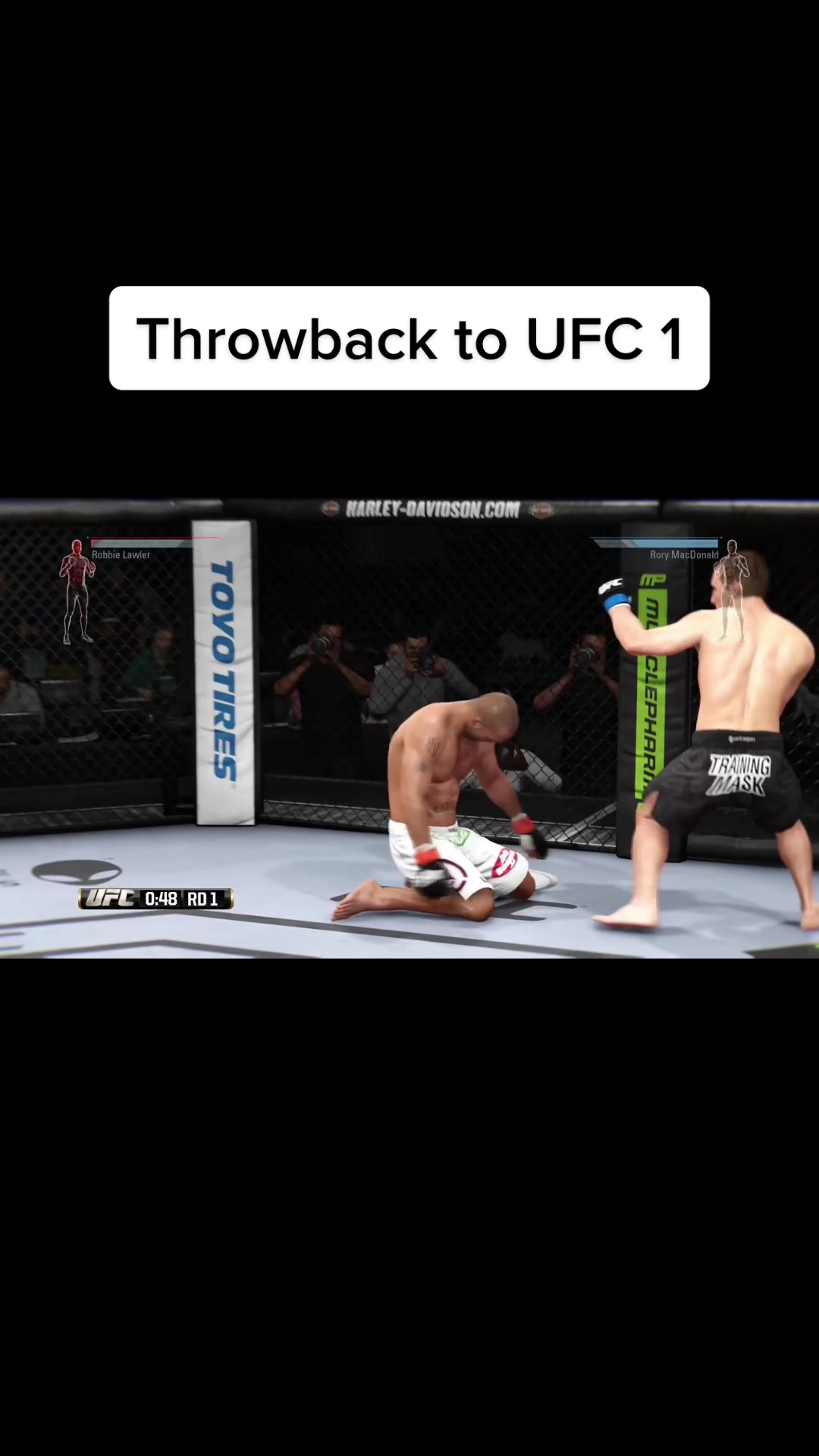 @Lobo Mma