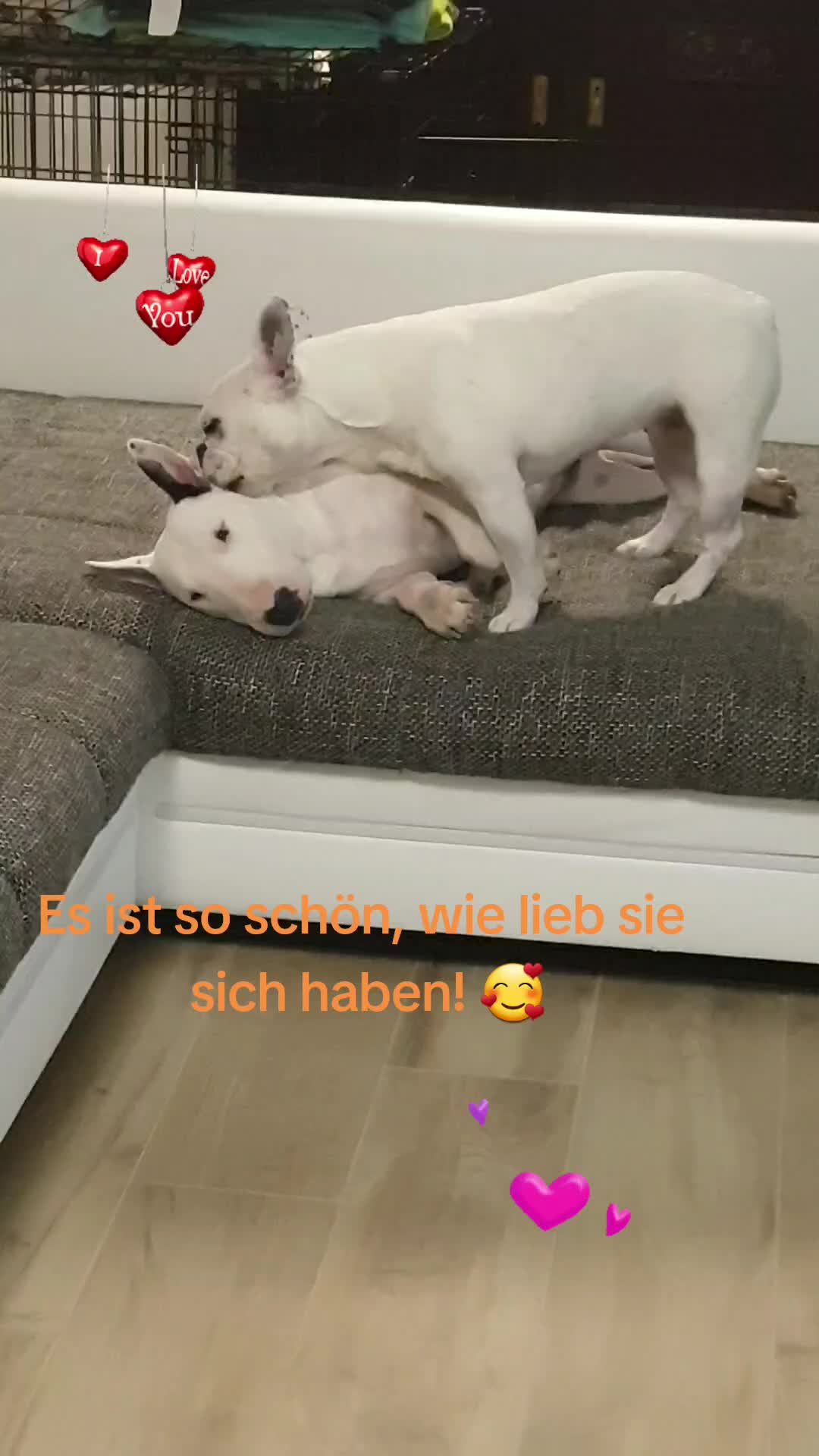@Susi
