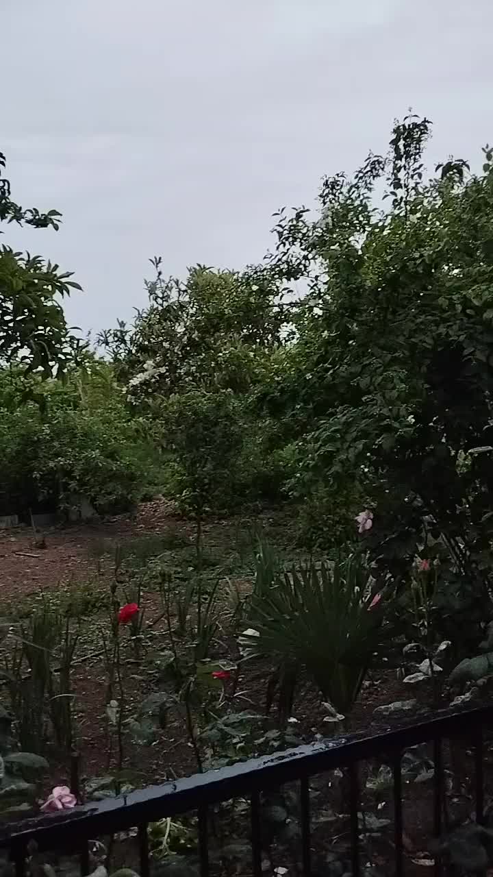 @Buğa bürcü
