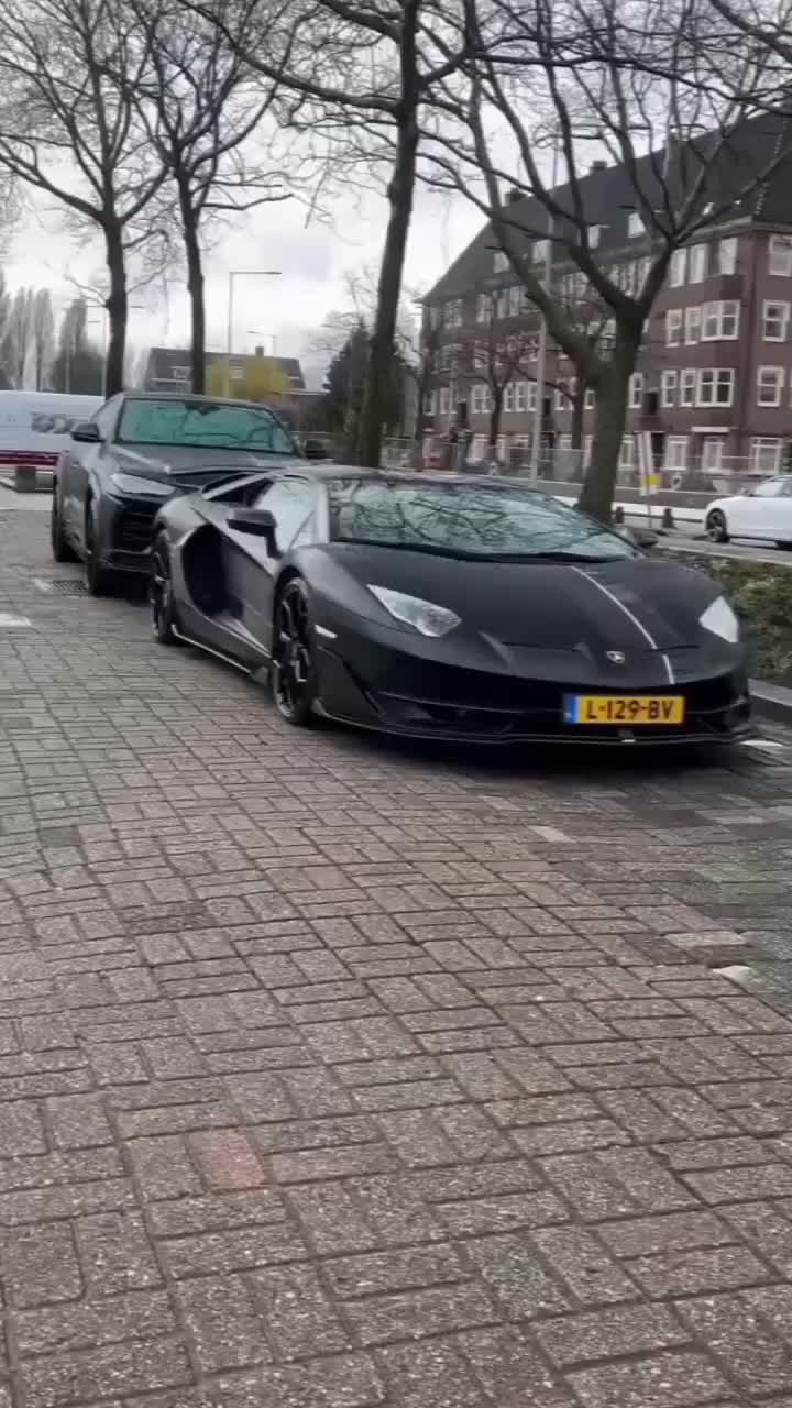 @الاقدام البيضاء 🎻🎻