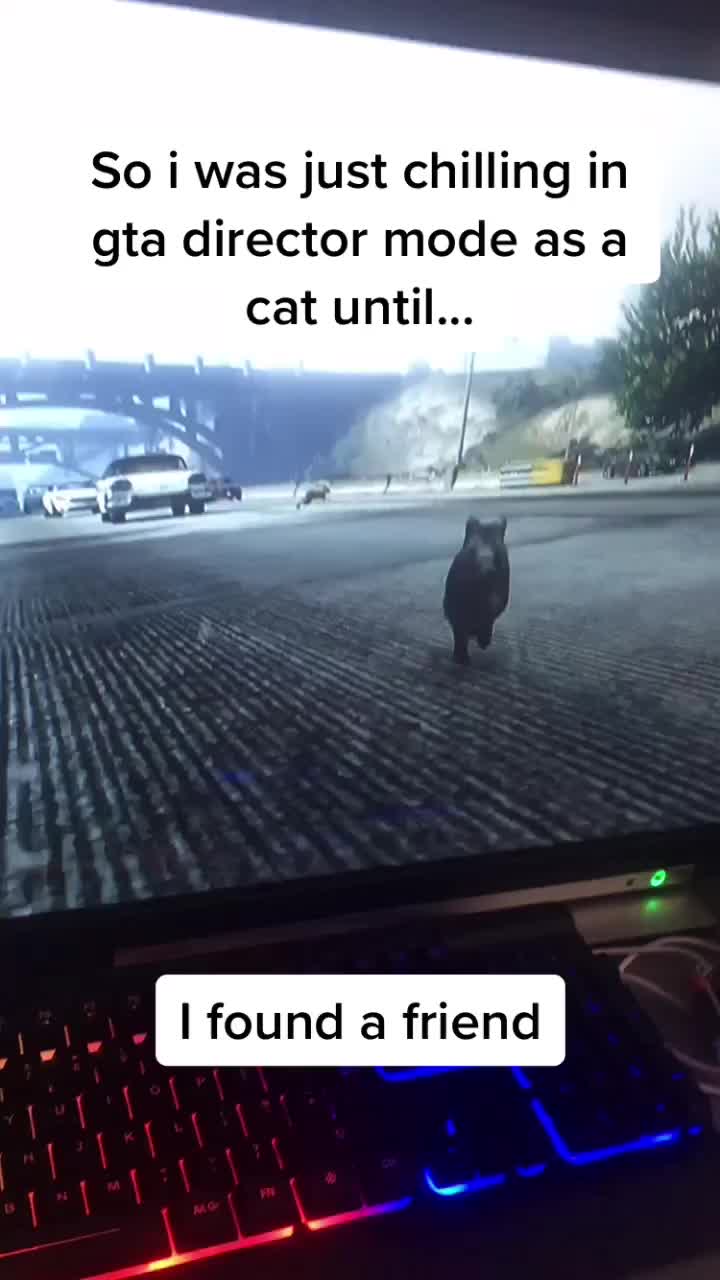 @๐ฟ๐ฆ๐๐โ๐ฆ ๐ช