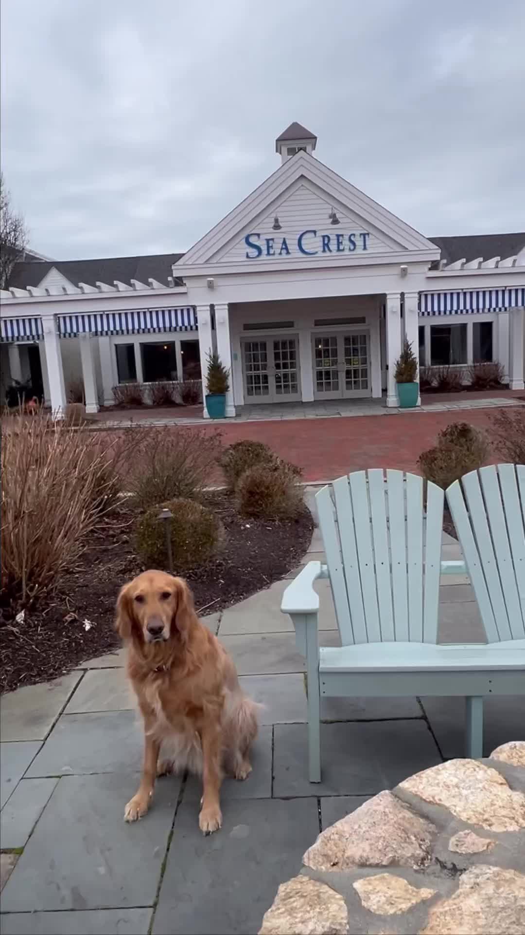 @SeaCrest_Cooper