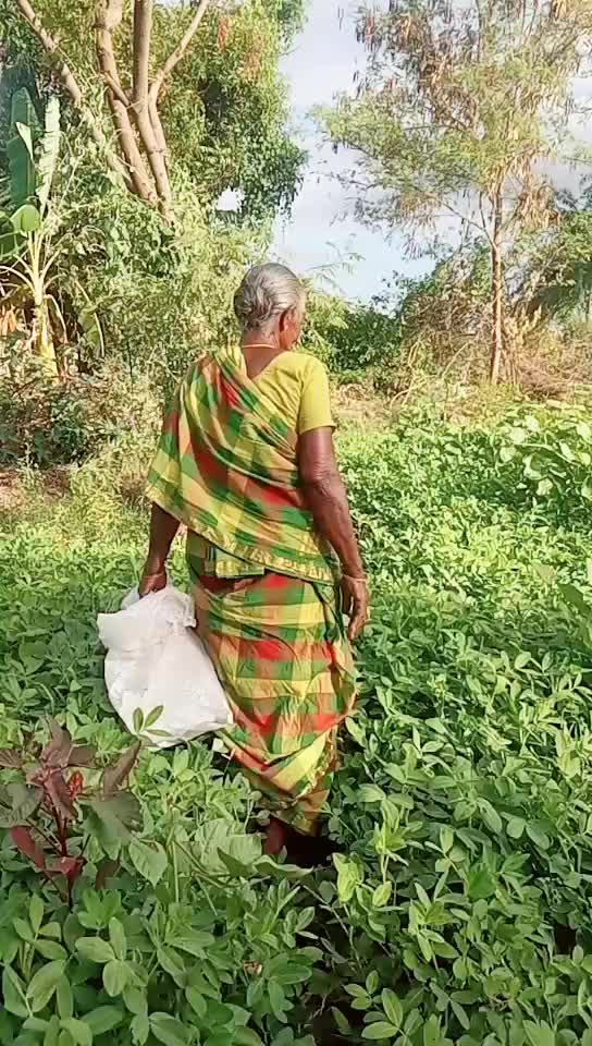 @Kalaivani