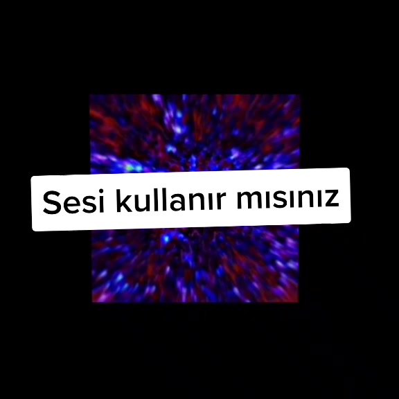 @Sarı bir kedi