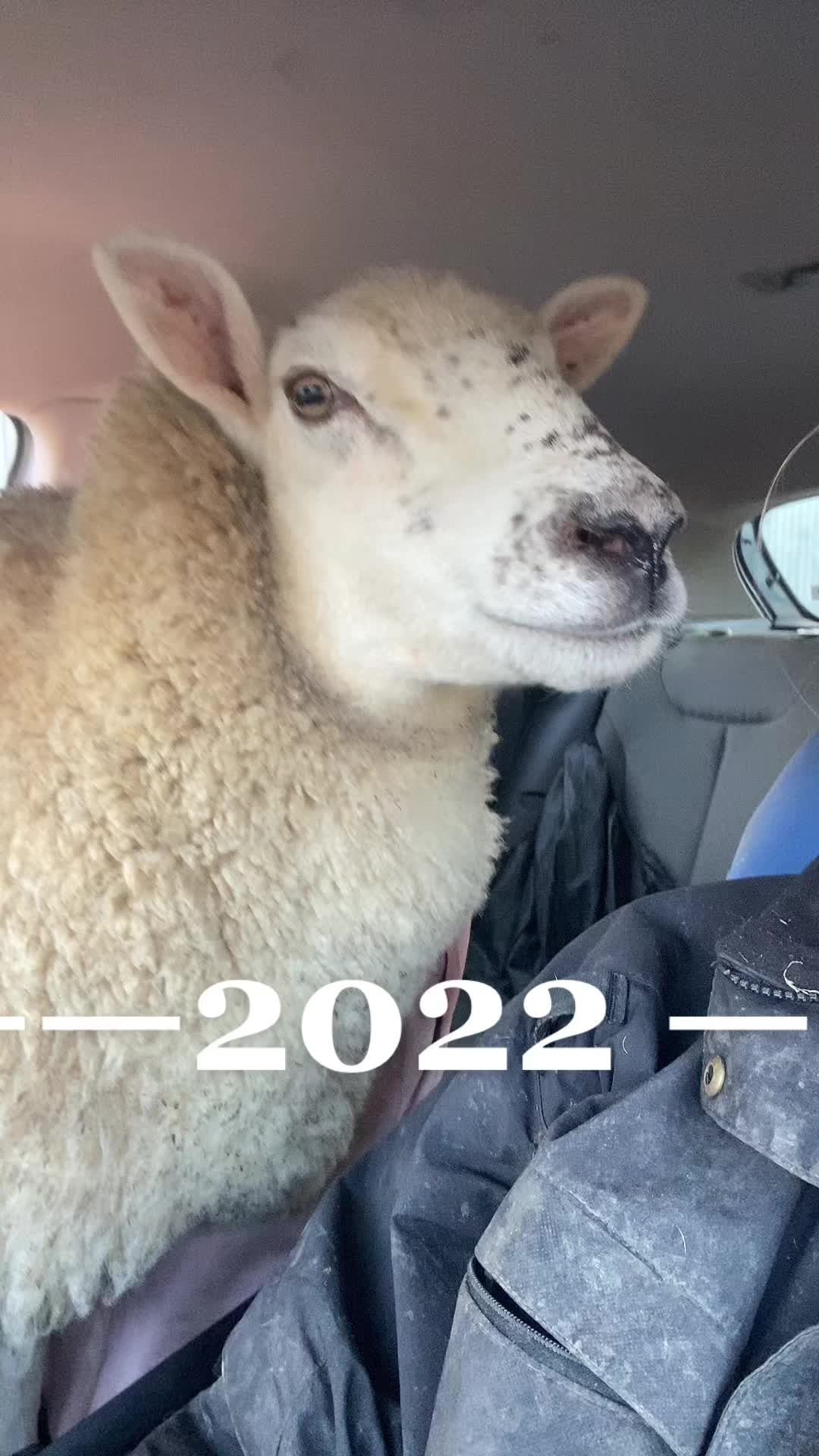 @Farming7744