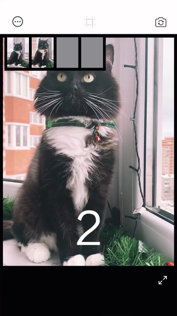 @КОТ МУЖИК 🐾